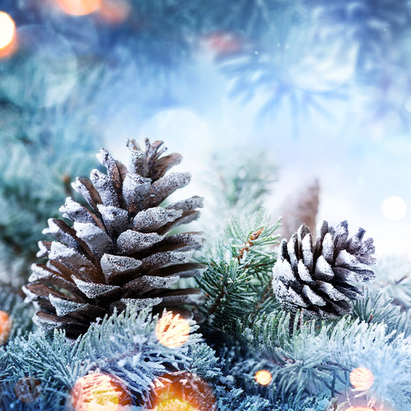 weihnachten-neujahr